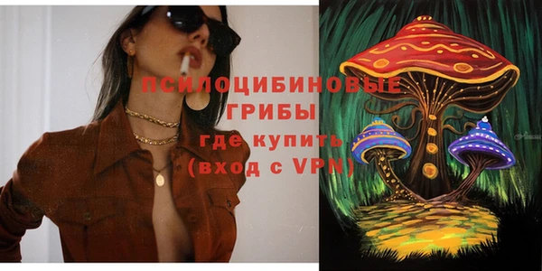 ГАЛЛЮЦИНОГЕННЫЕ ГРИБЫ Абдулино