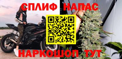 тгк Славянск-на-Кубани