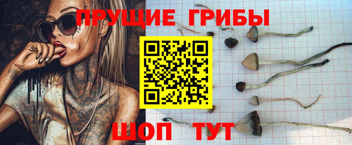 Фурманов  Галлюциногенные грибы GOLDEN TEACHER  Вход с VPN 